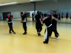 hunggarnancy-artsmartiaux-wushu-kungfu-entrainement-combat-5janvier2015-24     